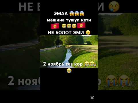 Видео: КОТ БОЛДУ 😭😭😱😱 машина