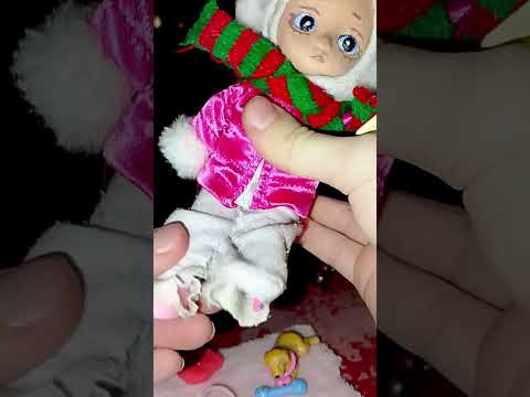 Видео: Гуляю с лисей (видео было снято вчера) 