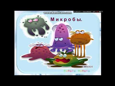 Видео: правила личной гигиены