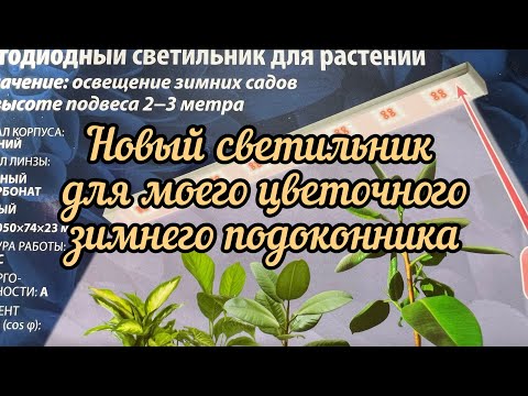 Видео: Устанавливаю новый светильник для досветки адениумов. Подготавливаю подоконник к зиме.🪴🪴🪴