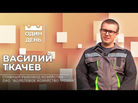 Видео: Один день на ОАО "Форелевое хозяйство "Лохва" | Василий Ткачев