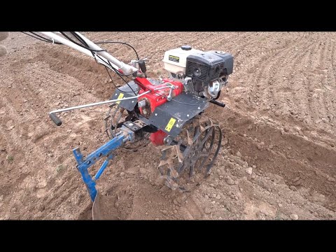 Видео: Посадка картофеля культиватором Shtenli 1900 PRO. Под плуг