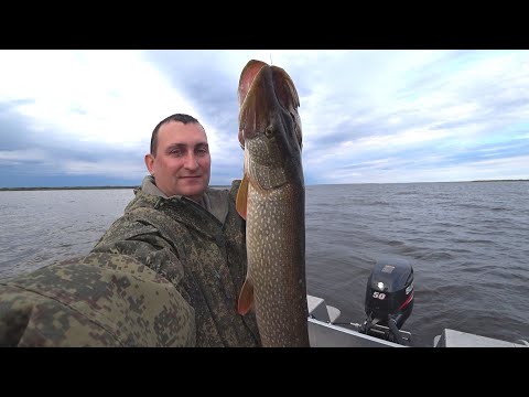 Видео: В поисках трофейной щуки. Рыбалка на реке Печора.