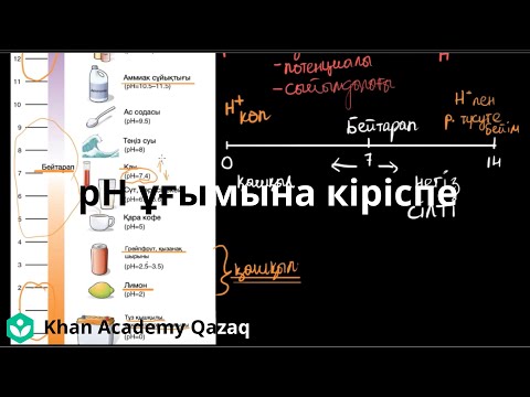 Видео: pH ұғымына кіріспе | Қазақ Хан Академия