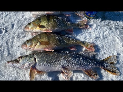Видео: Загасчлал "Мөс цоолноо" Edited