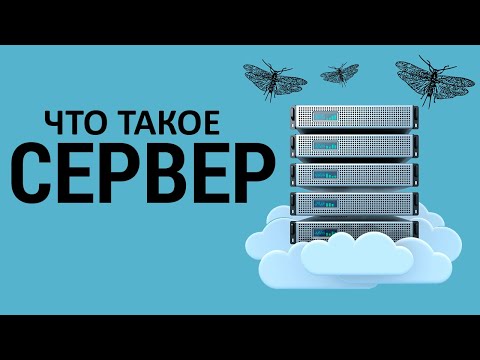 Видео: Все что нужно знать новичку о сервере