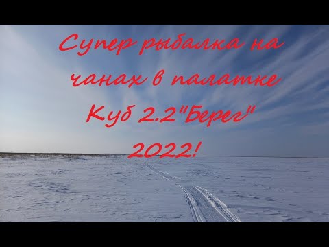 Видео: Супер рыбалка на Чанах 2022!Палатка Куб 2.2 "Берег".