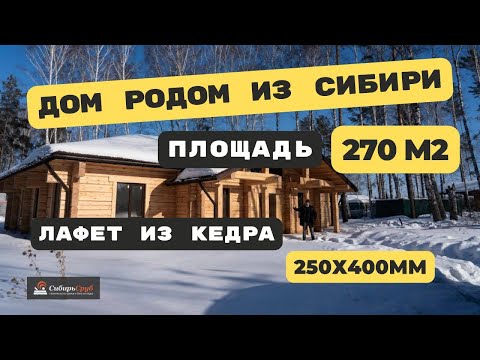 Видео: Сибирский дом из лафета кедра!