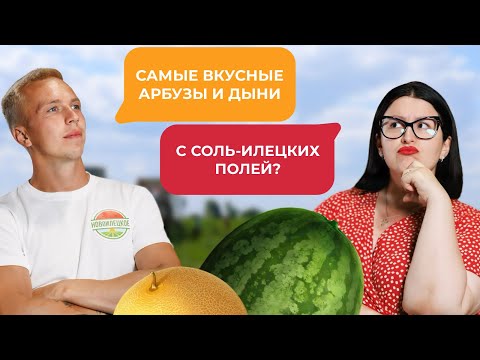 Видео: Как растут арбузы и дыни "Новоилецкое"? Третья часть тревел-блога