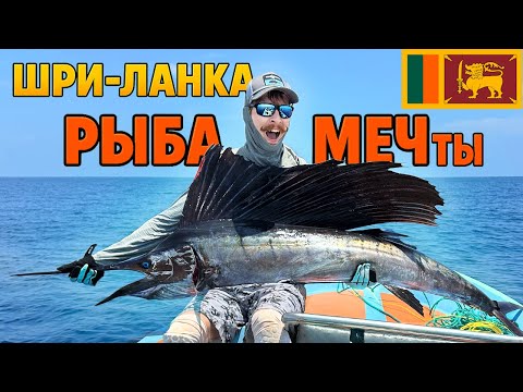 Видео: 🎣РЫБАЛКА МЕЧты!!! 🇱🇰ШРИ-ЛАНКА 2025