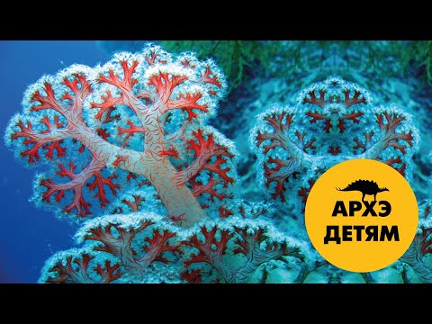 Видео: Вместе веселее. Колониальные животные  | Вадим Марьинский (выпуск 23)