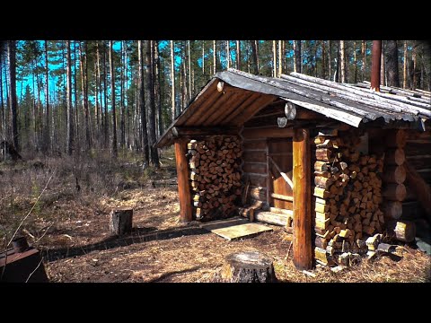 Видео: Как найти глухариный ток без снега. Проведал дальнюю избушку. Лосиха с лосенком.