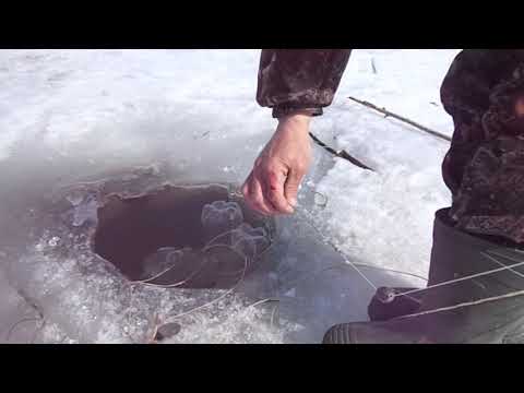 Видео: Тропа налима. Как поставить перемет.