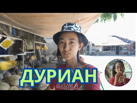 Видео: Дуриан / Durian