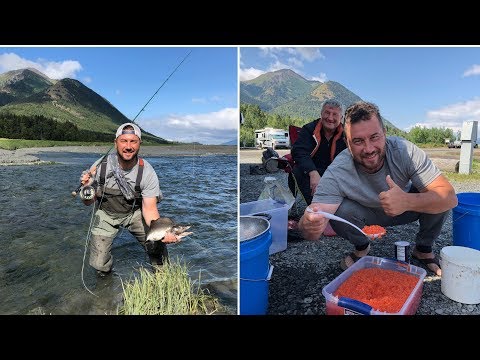 Видео: Аляска, часть 2.  Море рыбы и океан икры :)