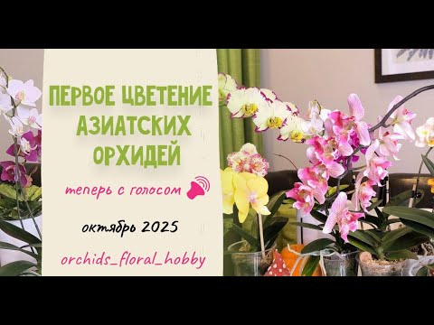 Видео: Первое цветение азиатских орхидей у меня дома в октябре 2025 🥰🌸🌺😍