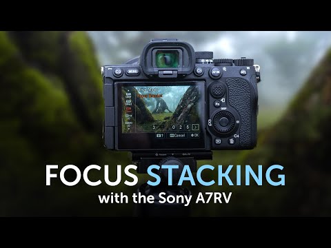 Видео: Совмещение фокуса с Sony A7RV