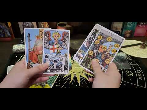 Видео: Single хүмүүс маань 2023 онд хостой болох уу?