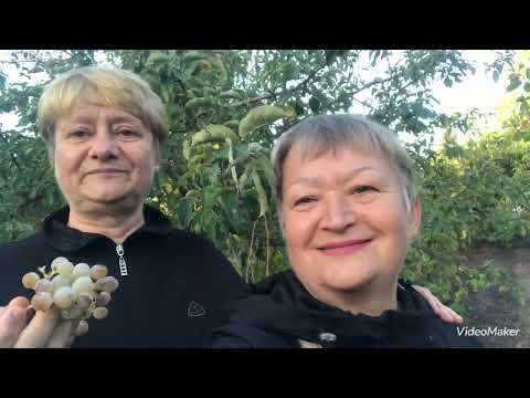 Видео: Мы с сестрой на даче