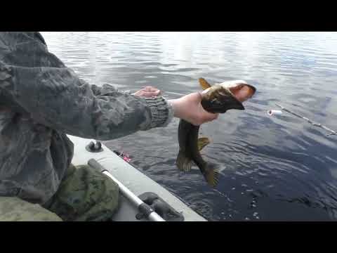 Видео: Рыбалка на ламбушке в Карелии! Лов на самоловки!