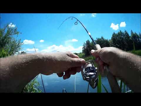 Видео: Lucky Craft Clutch SSR в действии!