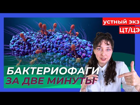 Видео: БАКТЕРИОФАГИ ЗА ДВЕ МИНУТЫ - УСТНЫЙ ЭКЗАМЕН/ЦЭ/ЦТ