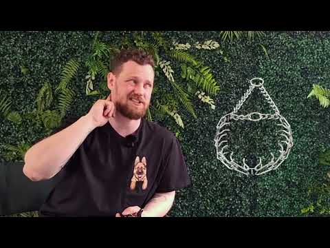 Видео: Строгий ошейник