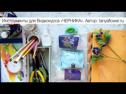 Видео: Инструменты для Видеокурса «ЧЕРНИКА»