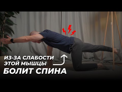 Видео: УКРЕПЛЯЙ ЭТУ МЫШЦУ если болит поясница. Упражнение ПТИЦА-СОБАКА