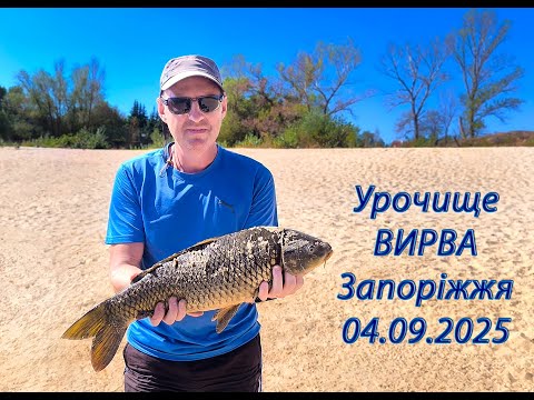 Видео: Ловлю на фидер. Рыбалка на Автопляже, урочище Вырва Запорожье. Плотва Короп Карась 