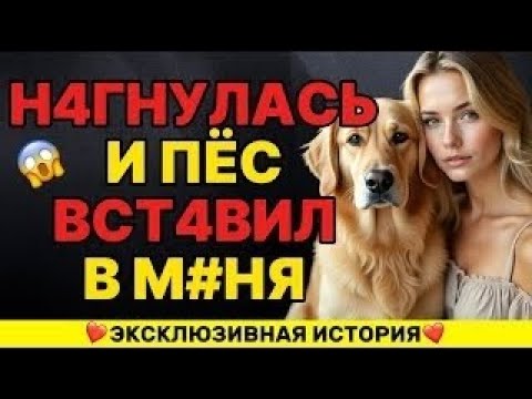Видео: Оя не ожидала, что мой собака станет моей...