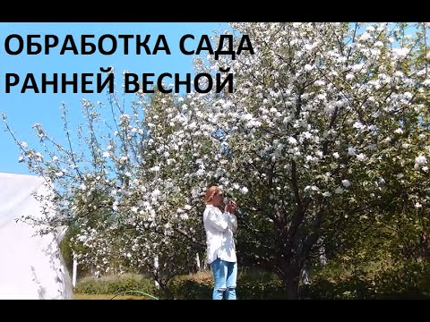 Видео: Обработка сада ранней весной.