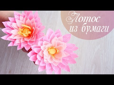 Видео: Лотос, георгин или астра из гофрированной бумаги