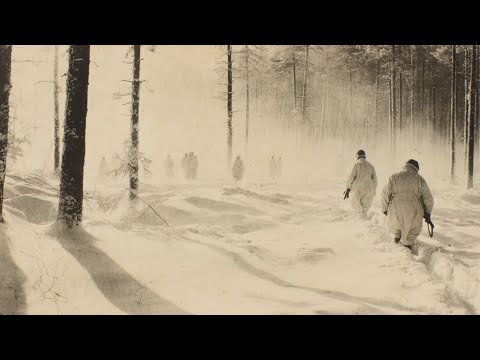 Видео: Немецкие войска были шокированы, когда сибирские дивизии прибыли к Москве в белом камуфляже