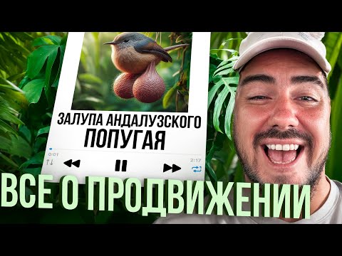 Видео: Вся правда о Продвижении треков. И что делать