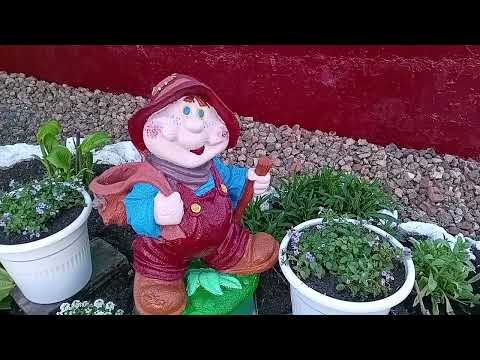 Видео: Деревенские будни.Хроника дня.