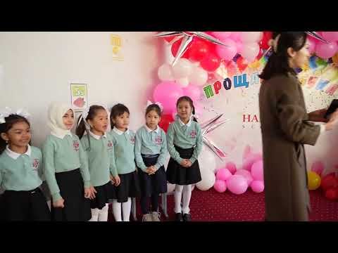 Видео: HARVARD Азбука 2025