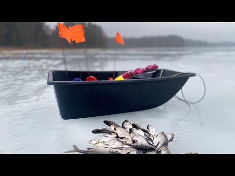 Видео: Отлично отдохнули с женой на зимней рыбалке. Ловим подлещика с плотвой. Щука бастует #лещь #плотва