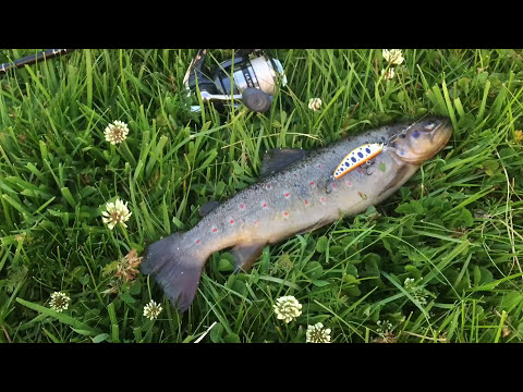 Видео: Рыбалка на блесну, воблер. Ловим Форель в Кыргызстане.
