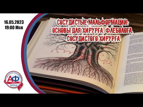 Видео: Сосудистые мальформации: основы для хирурга, флеболога, сосудистого хирурга