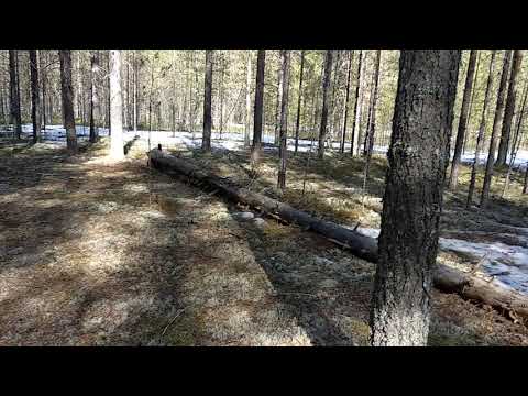 Видео: Незавидная участь похитителя детей