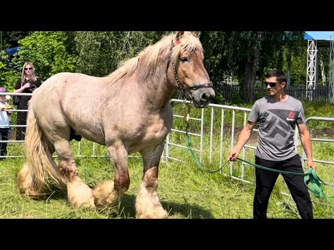 Видео: Брюс всемогущий 🤣