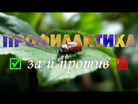 Видео: Профилактические обработки сенполий от вредителей и болезней. Что больше - вреда или пользы?