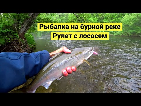 Видео: Рыбалка на бурной реке. Рулет с лососем // Cherry Salmon. Catch & Cook (Eng Subs)