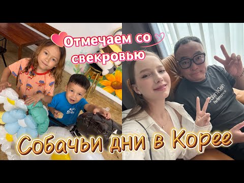 Видео: Отмечаем собачьи дни в Корее с особыми блюдами/мой ответ хейтарам/KOREA VLOG 