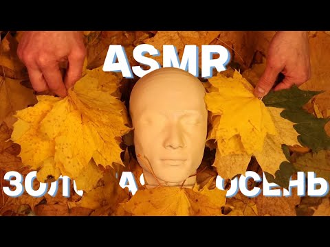 Видео: Осенняя АСМР Терапия 🍂 3Dio звук для Релакса и Сна. Шепот с ушка на ушко , листья, триггеры