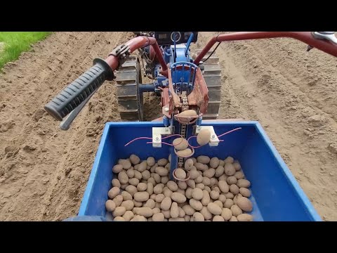 Видео: Посевная 2022.