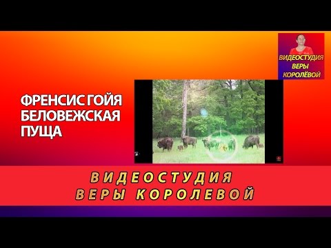 Видео: Френсис Гойя   Беловежская пуща