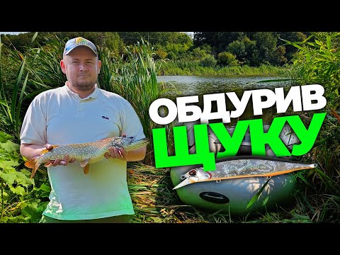 Видео: ОБДУРИВ ЩУКУ на БОЛОТІ! РИБАЛКА на ЩУКУ. ЛОВЛЮ ЩУКУ на ВОБЛЕРИ.
