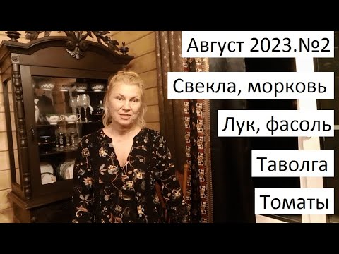 Видео: Август 2023 №2 Урожай в природном земледелии. Уход за огородом.